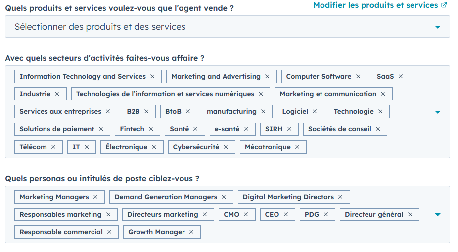 Capture d'écran des champs concernant les produits et activités à renseigner pour l'agent de prospection IA de HubSpot.